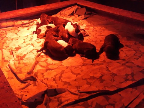 2018-05-20-PHOTO-00000417