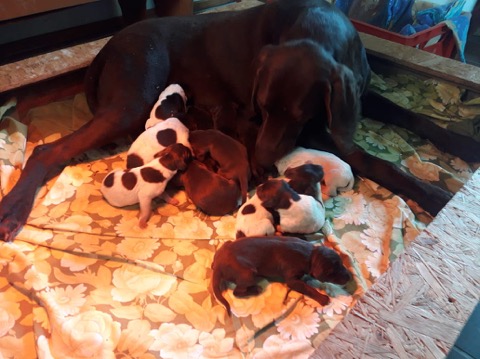 2018-05-20-PHOTO-00000418