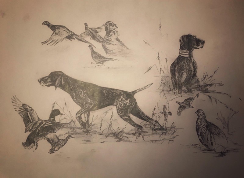 0c12a498-8dea-4cfb-89ee-87077bfde8f7